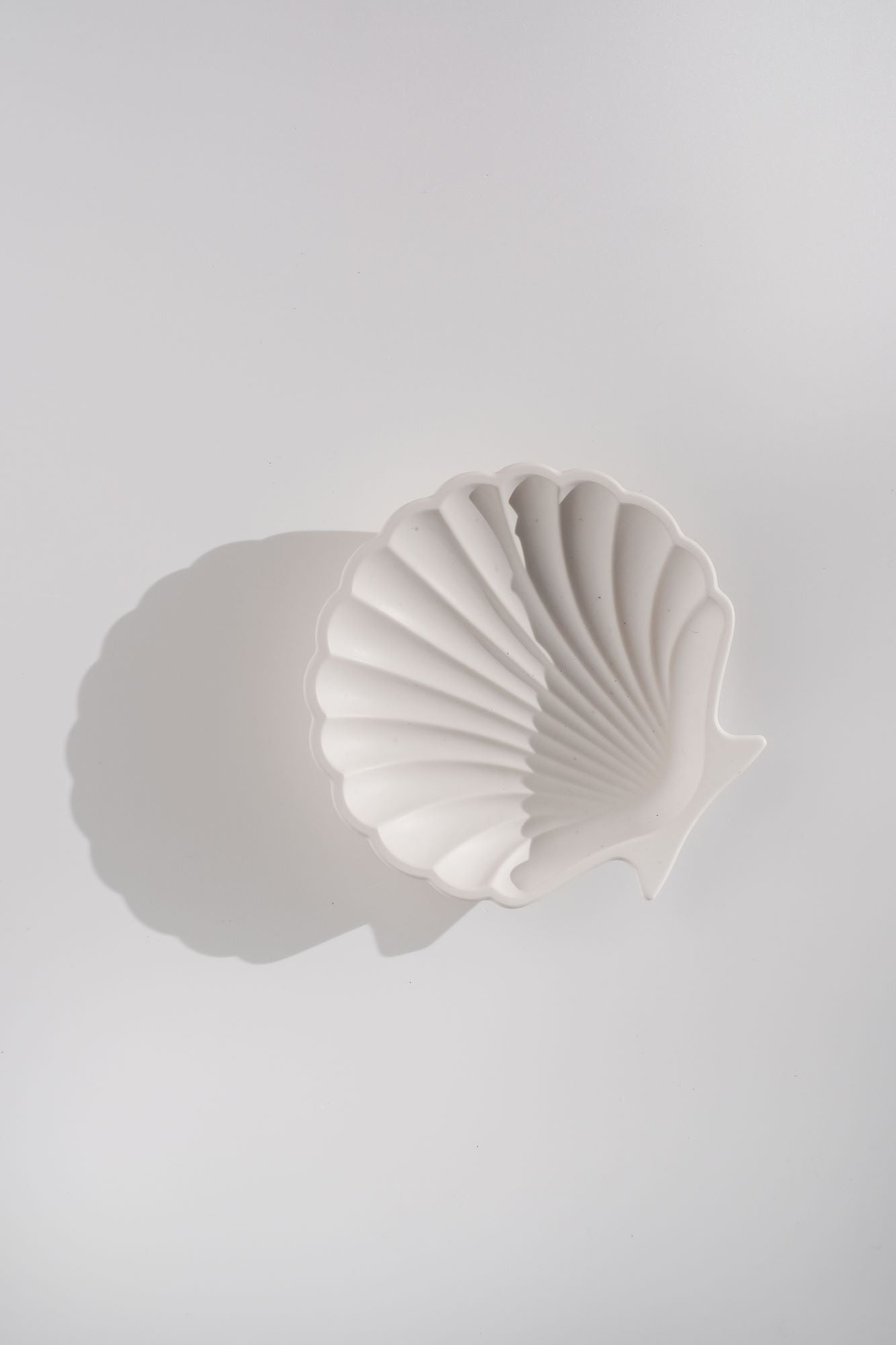 Seashell Photo + Video Styling Prop - CreativeBarn