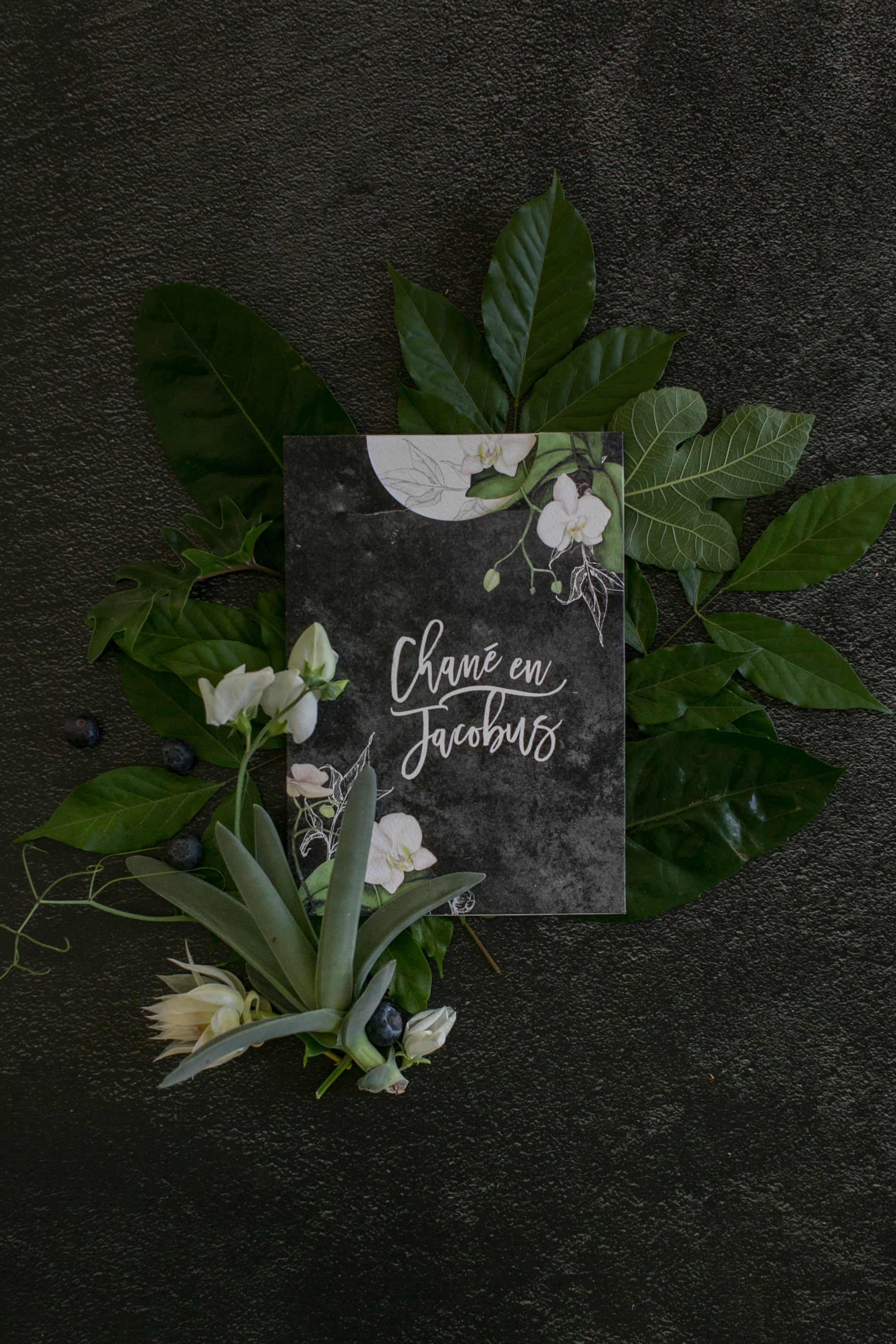 'Anthracite' - CreativeBarn