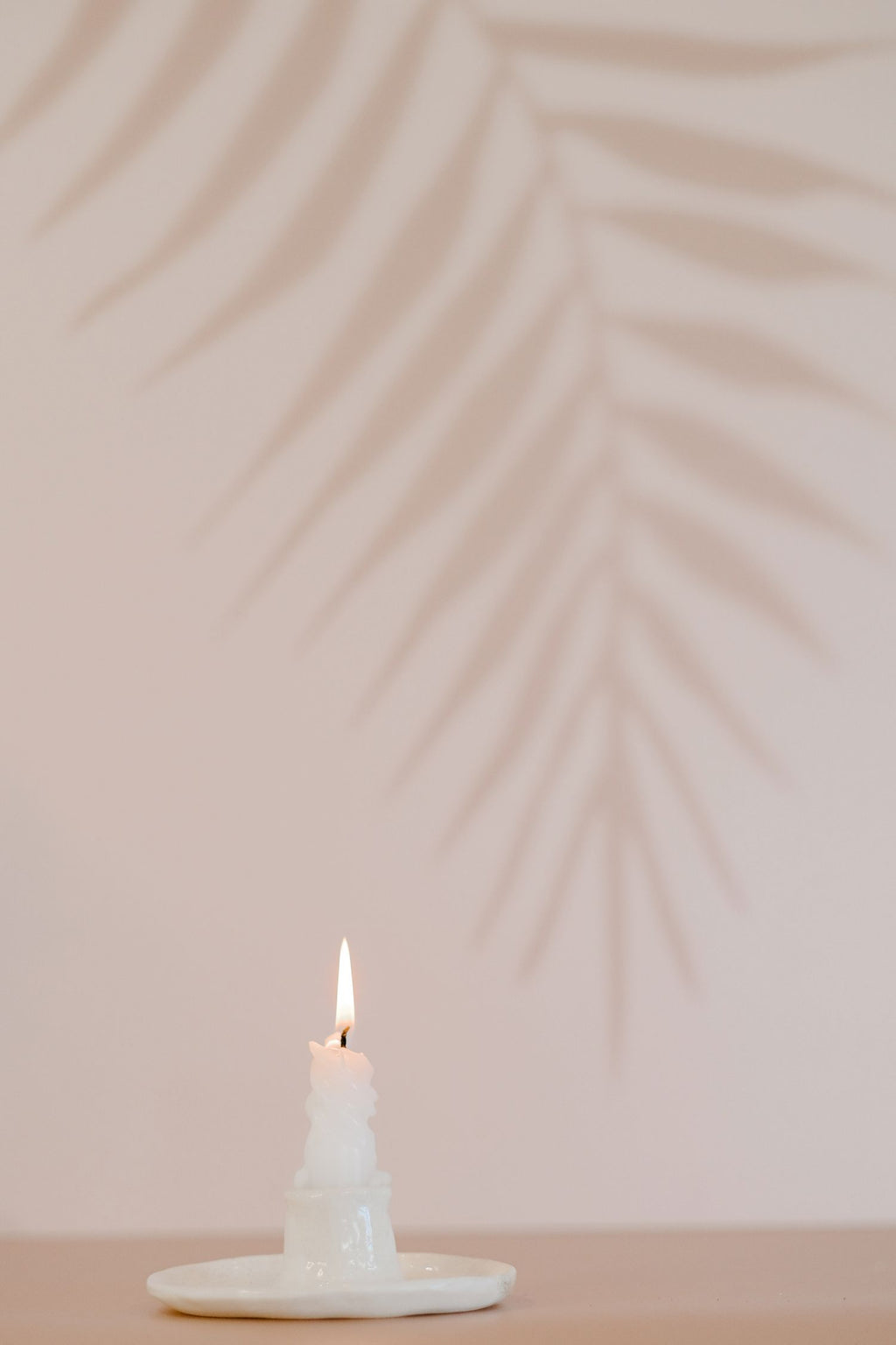 'Fern' - CreativeBarn