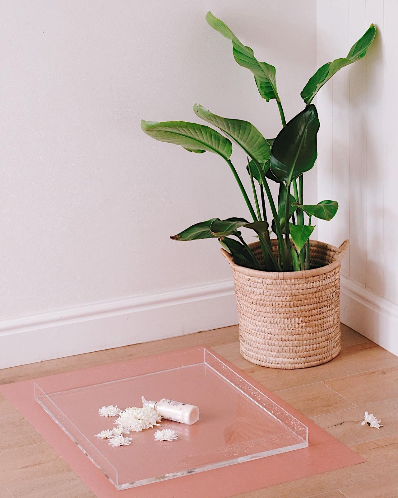 The Wet Photography Tray - CreativeBarn